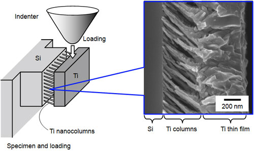 ナノコラム構造体に対する強度実験方法（チタン傾斜ナノコラム）Mechanical loading experiment for nanocolumn arrays (Ti oblique nanocolumn)