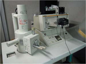 Scanning electron microscope (JEOL JSM-5300S)